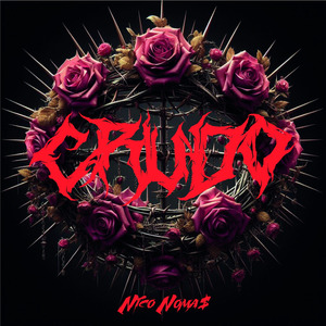 Crudo