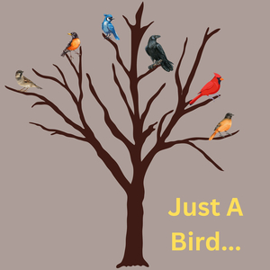 Just a Bird