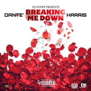 Breaking Me Down
