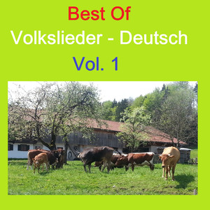 Wenn ein Stern vom Himmel fällt