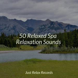 Blossoming Paradise Voyage