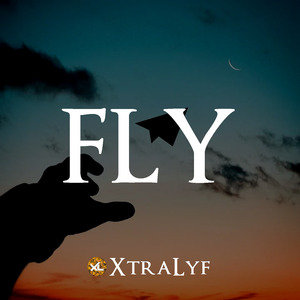 Fly