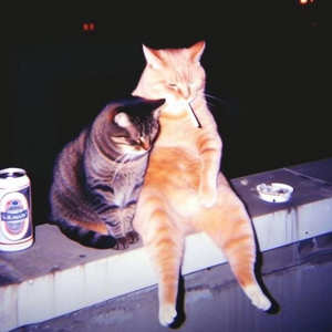 offline