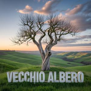 Vecchio Albero