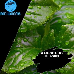 Mesmerising Medium Heavy Rain