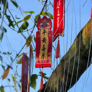 故梦（Cover 橙翼）