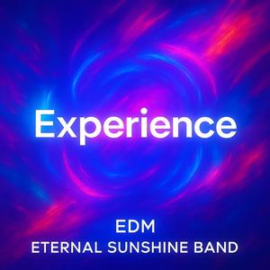 Experience