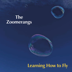 Learning How to Fly