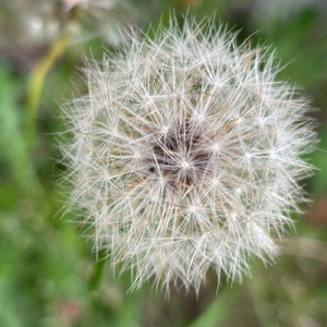 これが私の宝物