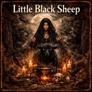Little Black Sheep