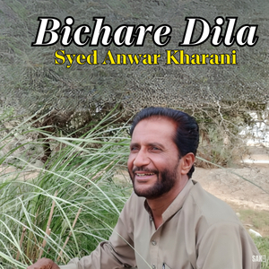 Bichare Dila