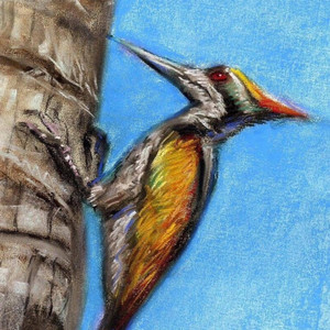 รักมหาศาล