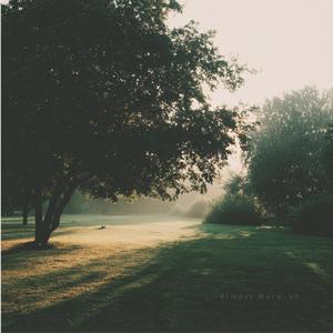 五月の空気、混じるまま – May Air, Blending Still