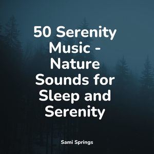 Stream, Water, Close