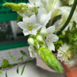 你把我寻回（粤语）