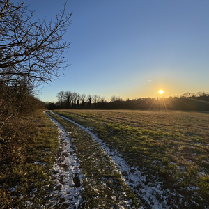 真心话就是大冒险