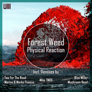 Physical Reaction (Mushroom Head Remix)