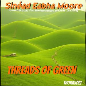 "The Grandfather’s Coat" (Family legacy ballad)