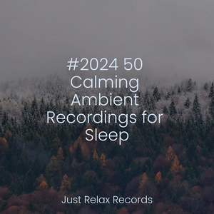 Calm Stones' Slumber