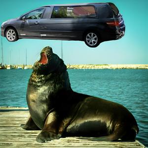 TU BÚSQUEDA DE PROTAGONISMO A BASE DE EXISTENCIAL FARTS FORMA PARTE DEL DESASTRE CLIMÁTICO