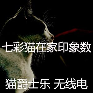 温和小猫梦想
