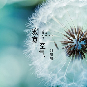 寂寞空气 (dj名龙版)