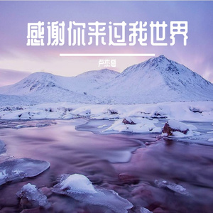 感谢你来过我世界