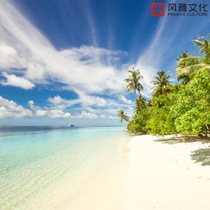 街角咖啡 -钢琴