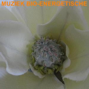 Muziek Bio-Energetische
