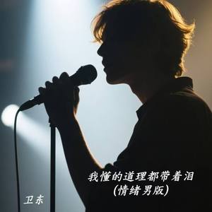 我懂的道理都带着泪(情绪男版)