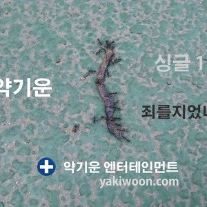 죄를 지었네