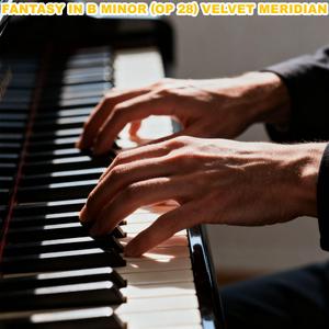 Fantasy in B Minor (Op 28) Velvet Meridian