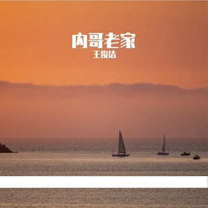 我的儿子，内哥老家