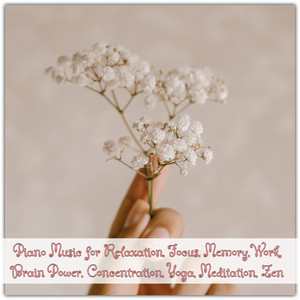 Concentration (Original Mix)