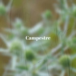 Campestre