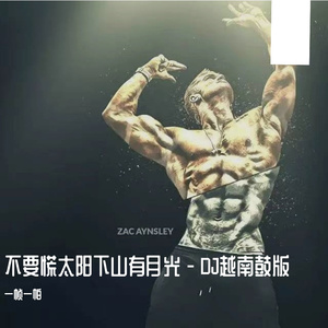 不要慌太阳下山有月光 - DJ越南鼓版