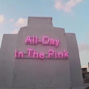 Don’t Know What To Do（懵逼宝）（翻自 粉粉粉墨）