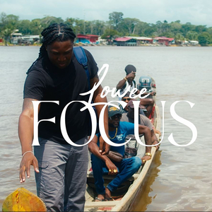 Focus