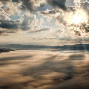 Expensive Denim (feat. 279tyler)