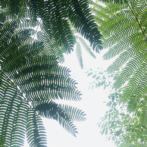 BLANK (back tracking ver.)