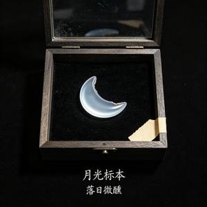月光标本
