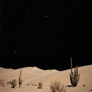 风筝断线追晚风