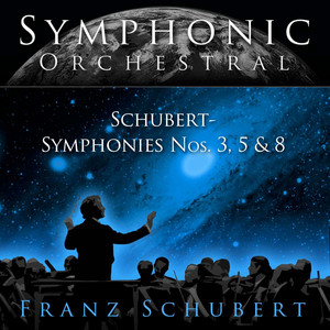Symphony #3 in D, D 200 - 1. Adagio Maestoso, Allegro Con Brio