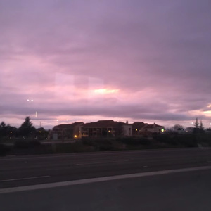 迎鹤飞（cover. 兄棣伙）