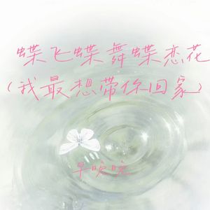 蝶飞蝶舞蝶恋花 (想与你共天涯)