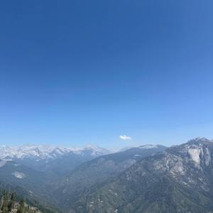 Brady Mode Freestyle