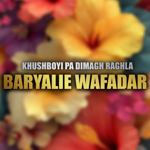 Ka Za Khabar Wam
