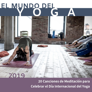 Constelacciones (Música de Yoga)
