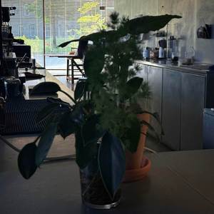 영원을 약속했던 (영원을 약속했던)