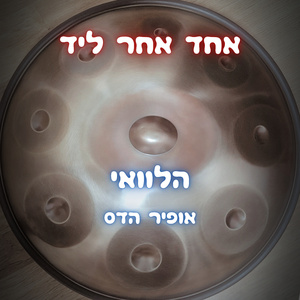 הלוואי
